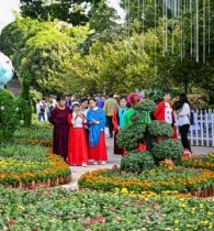 重庆市第二十七届菊花艺术展启幕