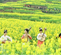 重庆热点：共赴春天的盛宴 武隆区庙垭乡油菜花乡村旅游季3月7日开幕 ...