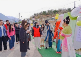 巫山：李花为媒 共搭“云端之约” 联谊平台