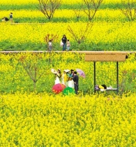 “花”样重庆如何更加有“颜”有“味”