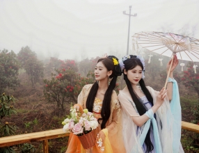 醉美杜鹃绽武隆 2026重庆仙女山杜鹃嘉年华启幕