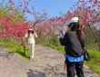 潼南：桃花源里春意闹 繁花盛景醉游人