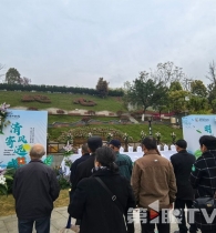 与鲜花一起“沉睡” 重庆27位逝者以生态葬回归自然