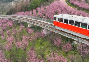 重庆中心城区，入春！