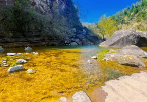 云阳春游野炊推荐！周末就去！