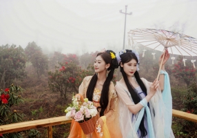 醉美杜鹃绽武隆 2026重庆仙女山杜鹃嘉年华启幕