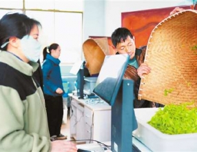 “涪陵造”AI机器人“上岗”收茶