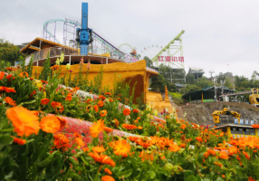 涪陵：春雷作序 繁花为章 美心红酒小镇奏响春日进行曲