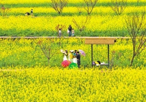 “花”样重庆如何更加有“颜”有“味”