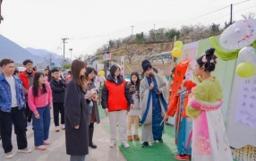 巫山：李花为媒 共搭“云端之约” 联谊平台