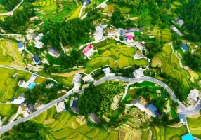 黔江：“丰”景如画 绘就乡村振兴新图景