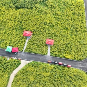 垫江：游客乐享田园小火车