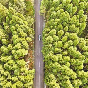 升级一条乡村公路 畅通三大避暑景区