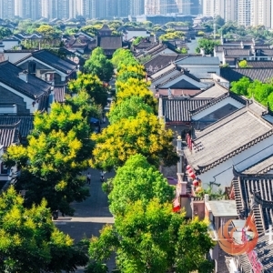 长寿秋景上新 等你来打卡