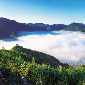 丰都太平坝乡：乡村旅游催生乡村经济新业态