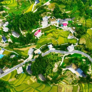 黔江：“丰”景如画 绘就乡村振兴新图景