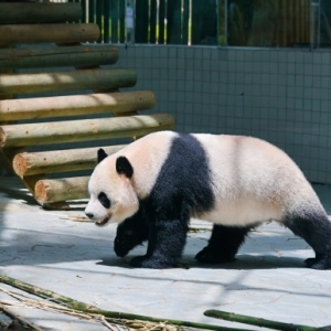 提前解锁山居生活新体验 华蓥文旅达人采风活动收官