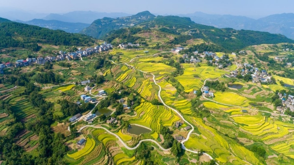 奉节乡村美景。王传贵摄