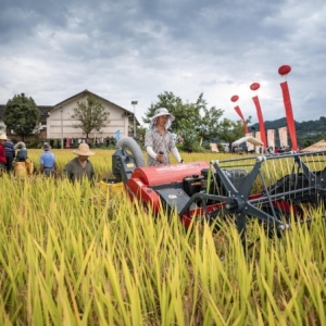 奉节：金秋九月庆丰收 笑语欢歌漫乡村