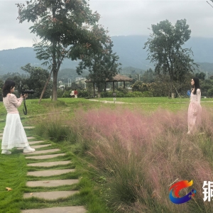 铜梁：市民乐享秋日休闲时光