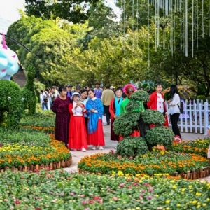 重庆市第二十七届菊花艺术展启幕