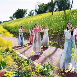 赏花、玩水、做鱼灯……快来解锁江津支坪春日限定