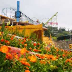 涪陵：春雷作序 繁花为章 美心红酒小镇奏响春日进行曲