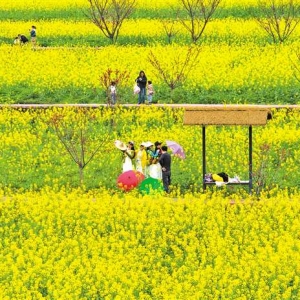 “花”样重庆如何更加有“颜”有“味”