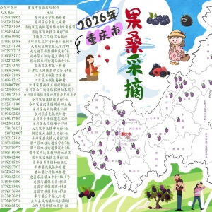 重庆果桑采摘季上线！18区县40个采摘园等你来