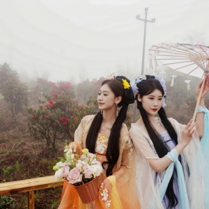 醉美杜鹃绽武隆 2026重庆仙女山杜鹃嘉年华启幕